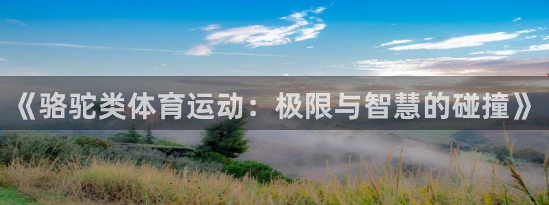 杏耀注册登录代理：《骆驼类体育运动：极限与智慧的碰撞》