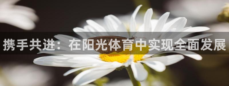 杏耀体育凯捷代理注册：携手共进：在阳光体育中实现全面发展