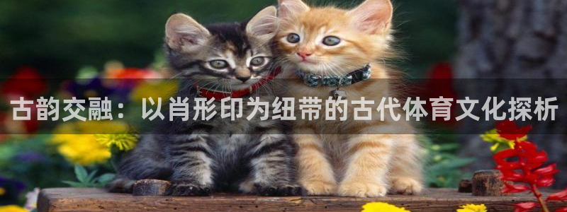 杏耀3平台登录注册：古韵交融：以肖形印为纽带的古代体育文化探析