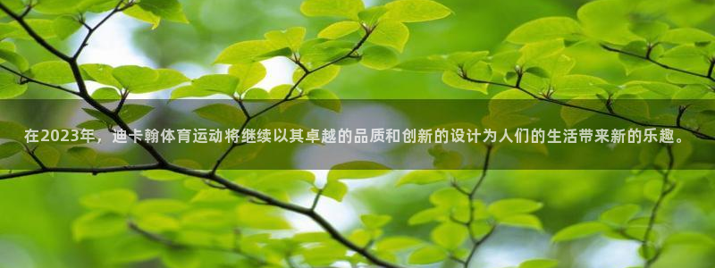 杏耀2平台注册：在2023年，迪卡翰体育运动将继续以其卓越的品质和创新的设计为人