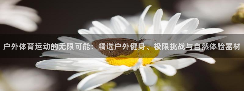 杏耀注册平台：户外体育运动的无限可能：精选户外健身、极限挑战与自然体验器材