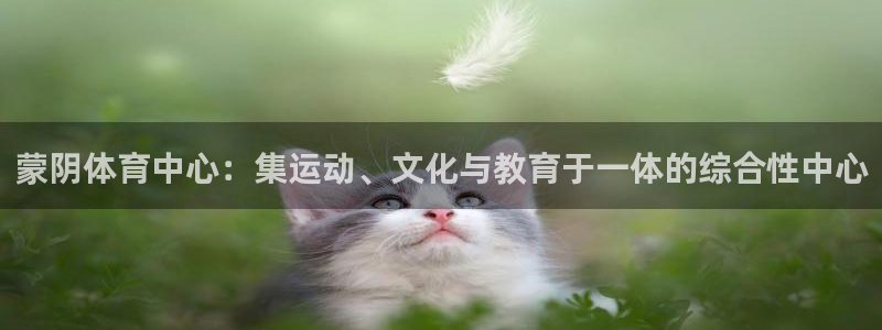 杏耀app登录：蒙阴体育中心：集运动、文化与教育于一体的综合性中心