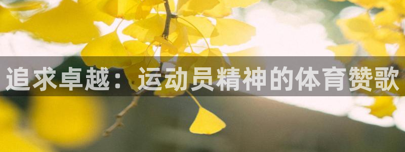 杏耀2平台注册：追求卓越：运动员精神的体育赞歌