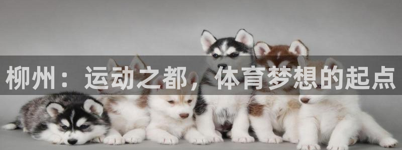 杏耀平台开户链接：柳州：运动之都，体育梦想的起点