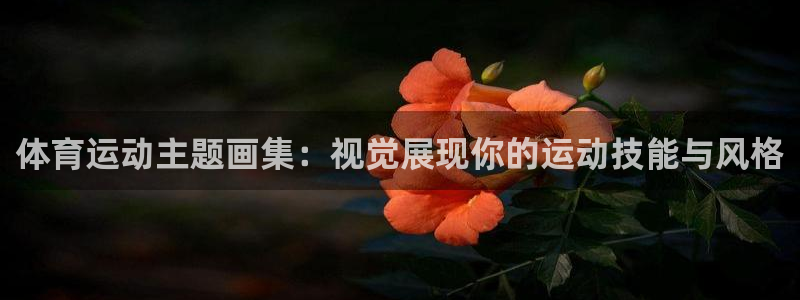 杏耀娱乐注册：体育运动主题画集：视觉展现你的运动技能与风格