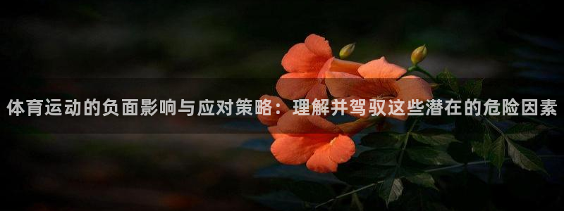 杏耀代理官网：体育运动的负面影响与应对策略：理解并驾驭这些潜在的危险因素