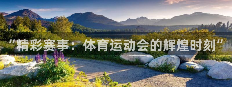 杏耀平台官网：“精彩赛事：体育运动会的辉煌时刻”