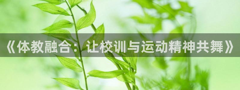 杏耀平台注册登陆：《体教融合：让校训与运动精神共舞》