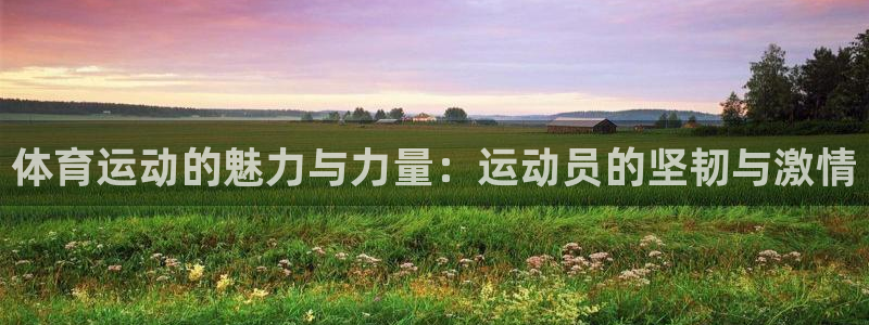 杏耀测速登录地址：体育运动的魅力与力量：运动员的坚韧与激情