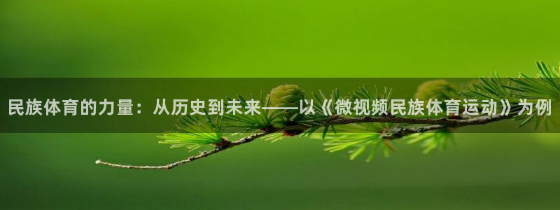 杏耀体育官网入口登录：民族体育的力量：从历史到未来——以《微视频民族体育运动》为例