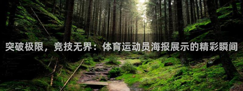 杏耀体育凯捷平台代理：突破极限，竞技无界：体育运动员海报展示的精彩瞬间