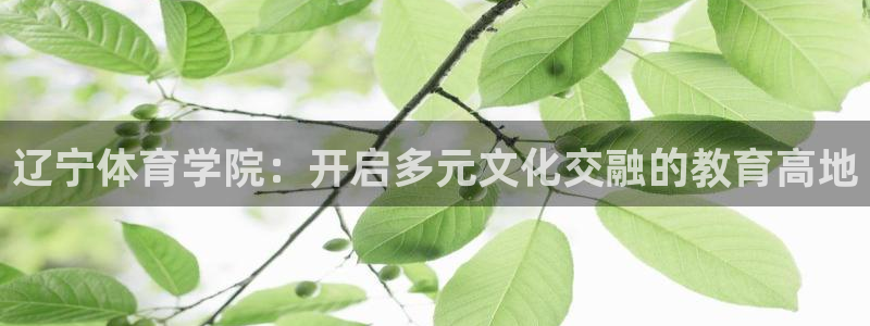 杏耀2登录：辽宁体育学院：开启多元文化交融的教育高地
