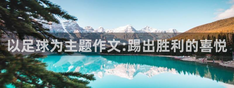 杏耀体育老板是谁：以足球为主题作文:踢出胜利的喜悦