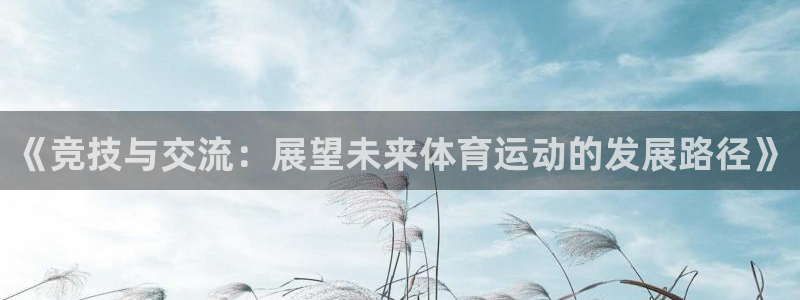 杏耀开户：《竞技与交流：展望未来体育运动的发展路径》