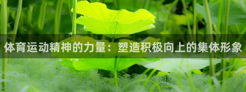 杏耀客户端登录：体育运动精神的力量：塑造积极向上的集体形象