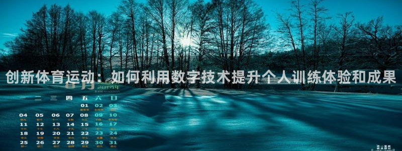 杏耀3平台登录注册：创新体育运动：如何利用数字技术提升个人训练体验和成果