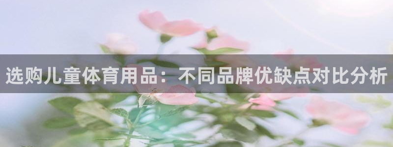 杏耀注册官网：选购儿童体育用品：不同品牌优缺点对比分析