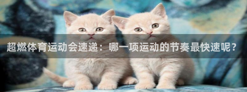 杏耀平台注册登陆：超燃体育运动会速递：哪一项运动的节奏最快速呢？