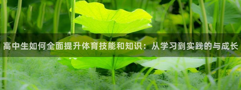 杏耀平台：高中生如何全面提升体育技能和知识：从学习到实践的与成长