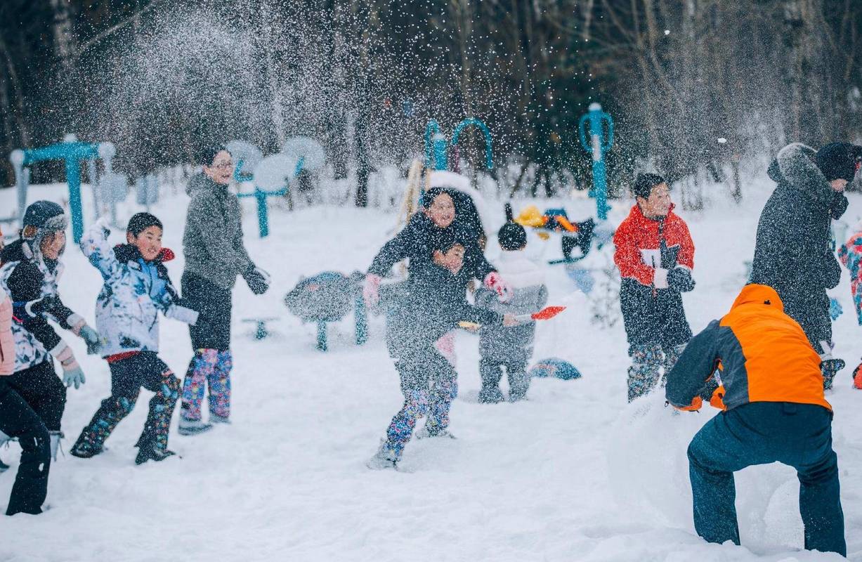 想玩打雪仗游戏？这里有你想要的各种版本