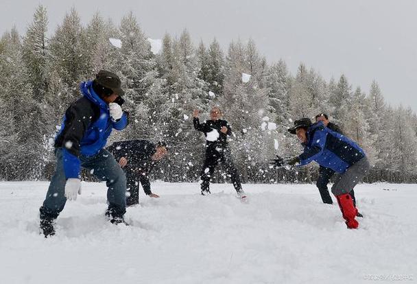 想玩打雪仗游戏？这里有你想要的各种版本