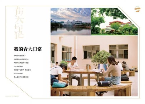大学狂热版本大全：你想要的都在这里！