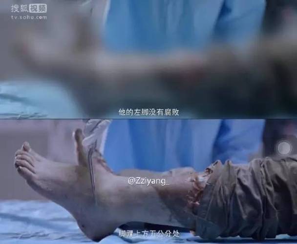 祖父留下的遗产：秘密组织官方网站，隐藏的真相是什么？